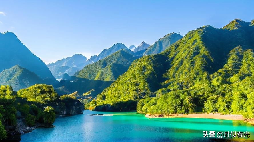 母系家族在线观看_父系亲戚与母系亲人_成年人的亲情关系