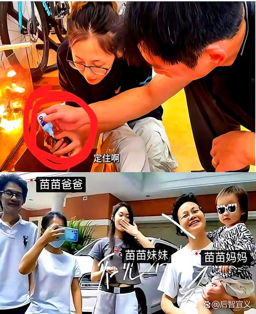 明星亲子类综艺节目_娱乐圈参加亲子综艺_黑料明星参加亲子综艺,