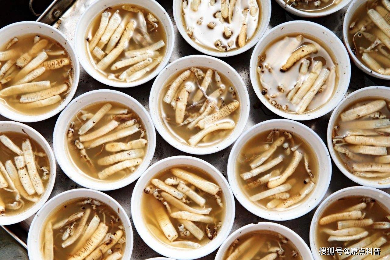 云南昆虫宴特色菜_黑暗料理排行榜前十名网红,_中国黑暗料理盘点