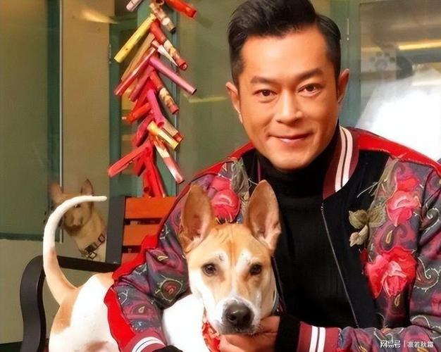 娱乐圈辈分有多乱？从古天乐“扶人挨骂”到华谊破产